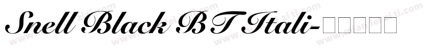 Snell Black BT Itali字体转换